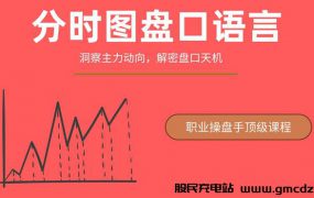 第216期福利:【一飞金融】分时图盘口语言–绝密主力操盘课程